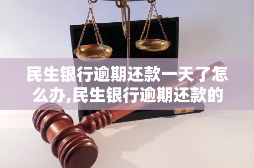 民生银行逾期还款一天了怎么办,民生银行逾期还款的后果及处理方法