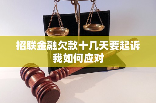 招联金融欠款十几天要起诉我如何应对