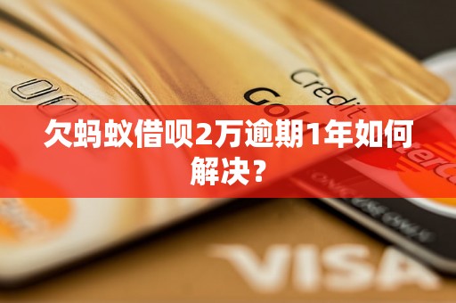 欠蚂蚁借呗2万逾期1年如何解决？