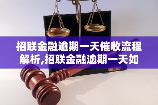 招联金融逾期一天催收流程解析,招联金融逾期一天如何催收