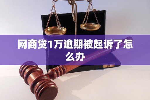 网商贷1万逾期被起诉了怎么办