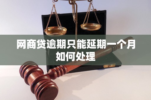 网商贷逾期只能延期一个月如何处理