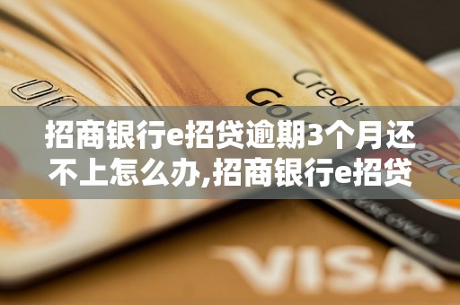 招商银行e招贷逾期3个月还不上怎么办,招商银行e招贷逾期后果及处理措施