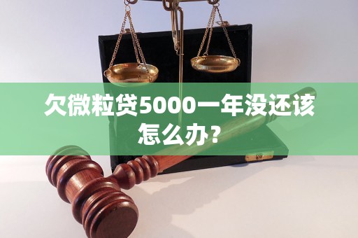 欠微粒贷5000一年没还该怎么办？