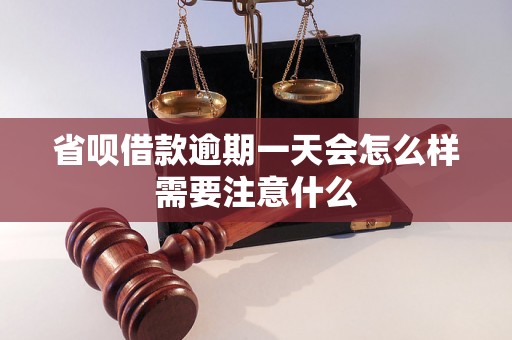 省呗借款逾期一天会怎么样需要注意什么