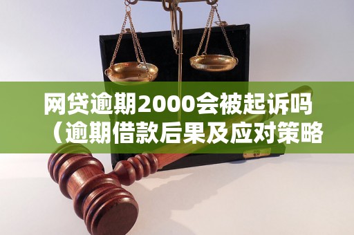 网贷逾期2000会被起诉吗（逾期借款后果及应对策略）