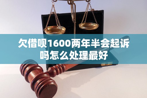 欠借呗1600两年半会起诉吗怎么处理最好