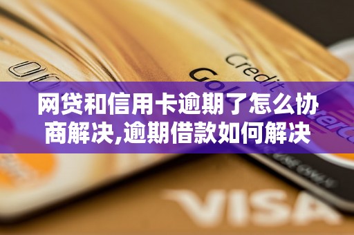 网贷和信用卡逾期了怎么协商解决,逾期借款如何解决信用卡还款问题