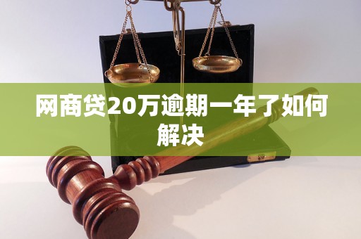 网商贷20万逾期一年了如何解决