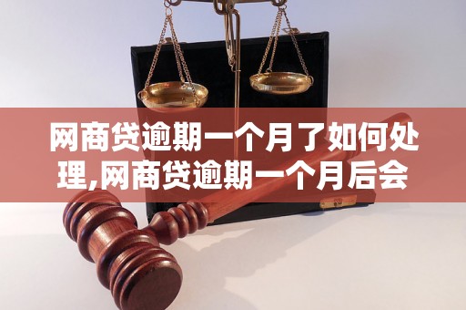 网商贷逾期一个月了如何处理,网商贷逾期一个月后会发生什么