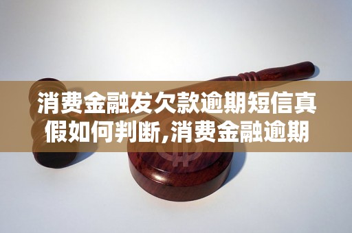 消费金融发欠款逾期短信真假如何判断,消费金融逾期短信真实性解析