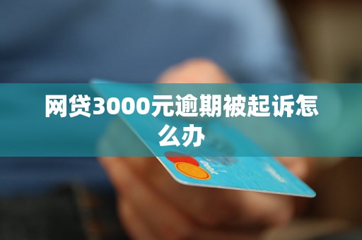 网贷3000元逾期被起诉怎么办