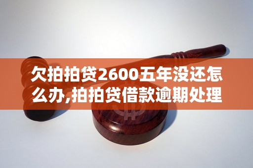 欠拍拍贷2600五年没还怎么办,拍拍贷借款逾期处理方法