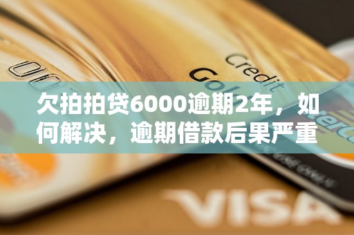 欠拍拍贷6000逾期2年，如何解决，逾期借款后果严重吗