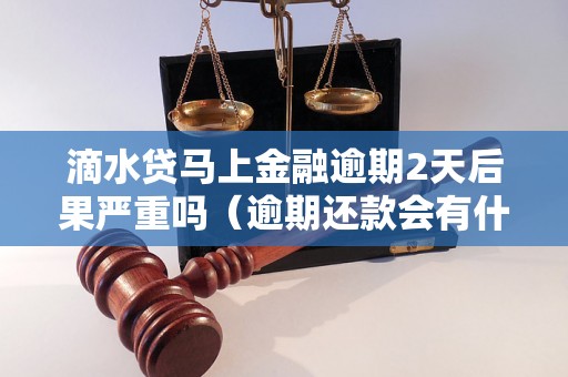 滴水贷马上金融逾期2天后果严重吗（逾期还款会有什么后果）