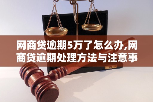 网商贷逾期5万了怎么办,网商贷逾期处理方法与注意事项