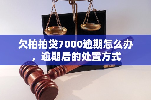 欠拍拍贷7000逾期怎么办，逾期后的处置方式