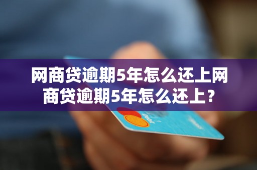 网商贷逾期5年怎么还上网商贷逾期5年怎么还上？