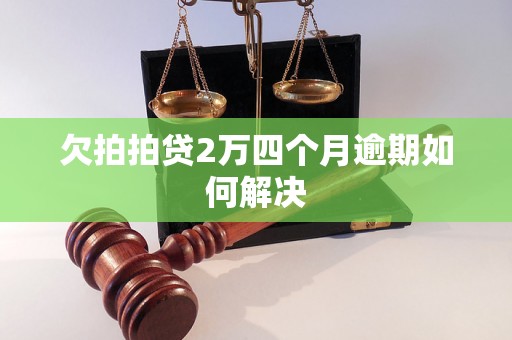 欠拍拍贷2万四个月逾期如何解决