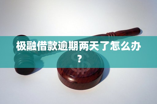 极融借款逾期两天了怎么办？