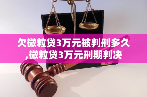 欠微粒贷3万元被判刑多久,微粒贷3万元刑期判决