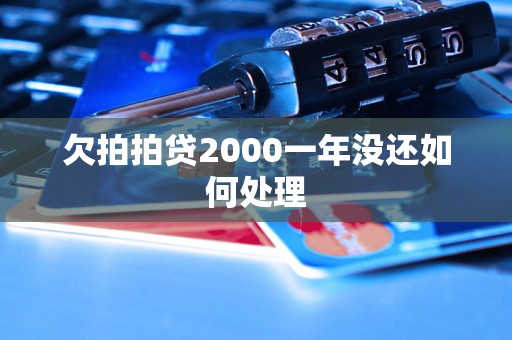 欠拍拍贷2000一年没还如何处理