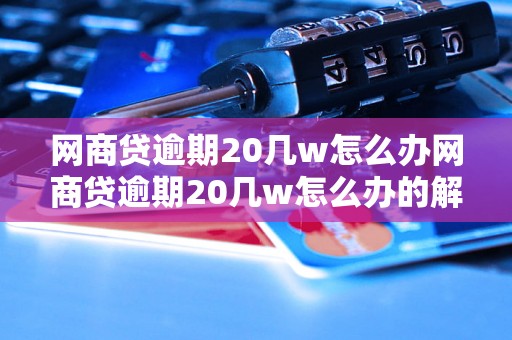 网商贷逾期20几w怎么办网商贷逾期20几w怎么办的解决方法