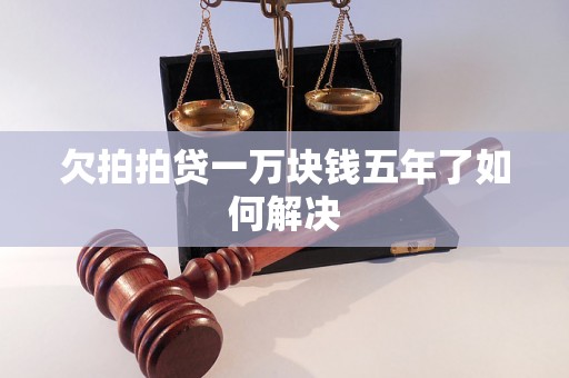 欠拍拍贷一万块钱五年了如何解决