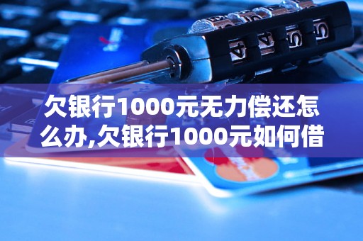 欠银行1000元无力偿还怎么办,欠银行1000元如何借钱还款