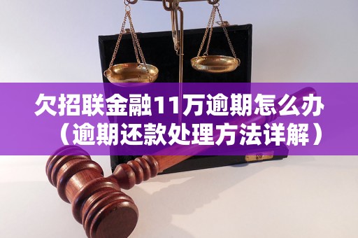 欠招联金融11万逾期怎么办（逾期还款处理方法详解）