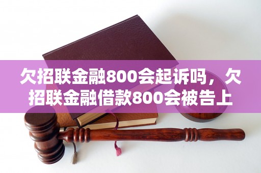 欠招联金融800会起诉吗，欠招联金融借款800会被告上法庭吗