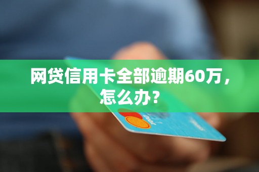 网贷信用卡全部逾期60万，怎么办？