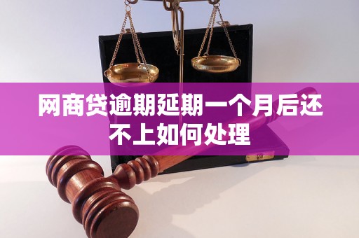 网商贷逾期延期一个月后还不上如何处理