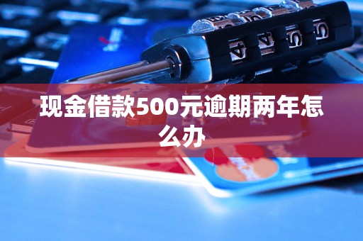 现金借款500元逾期两年怎么办