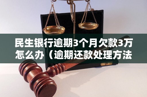 民生银行逾期3个月欠款3万怎么办（逾期还款处理方法详解）