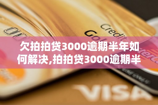 欠拍拍贷3000逾期半年如何解决,拍拍贷3000逾期半年处理方法