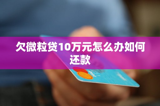 欠微粒贷10万元怎么办如何还款