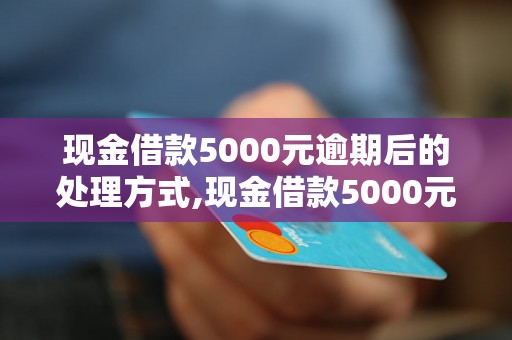 现金借款5000元逾期后的处理方式,现金借款5000元逾期影响及解决方法