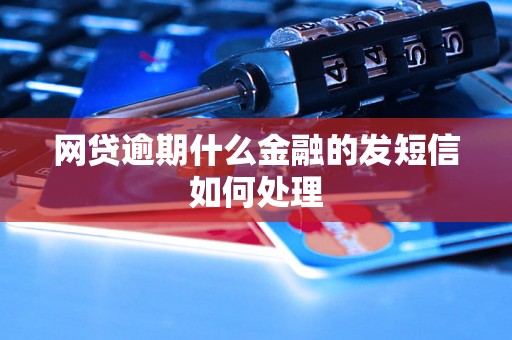 网贷逾期什么金融的发短信如何处理