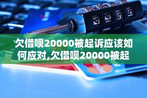 欠借呗20000被起诉应该如何应对,欠借呗20000被起诉会怎么样