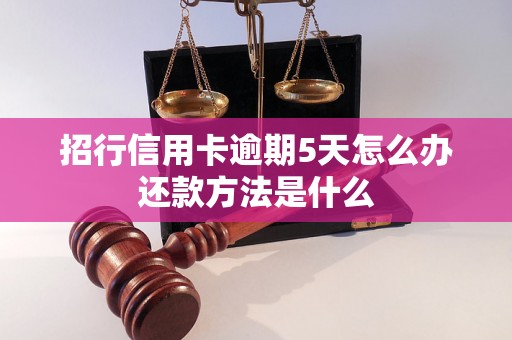 招行信用卡逾期5天怎么办还款方法是什么