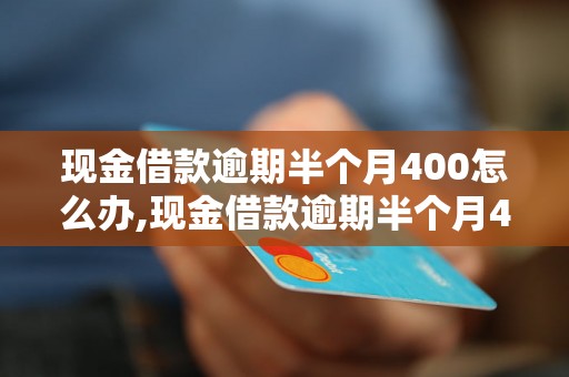 现金借款逾期半个月400怎么办,现金借款逾期半个月400罚息多少