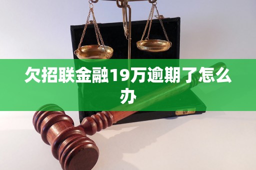 欠招联金融19万逾期了怎么办