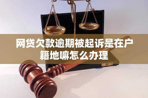 网贷欠款逾期被起诉是在户籍地嘛怎么办理