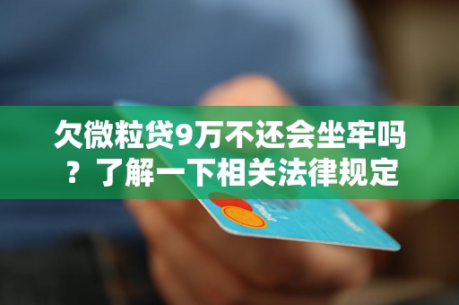 欠微粒贷9万不还会坐牢吗？了解一下相关法律规定