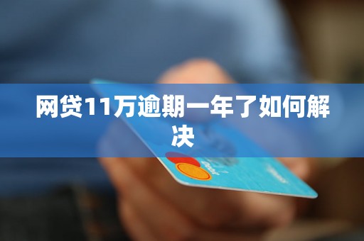 网贷11万逾期一年了如何解决