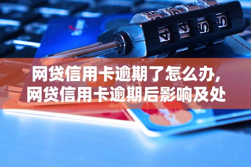 网贷信用卡逾期了怎么办,网贷信用卡逾期后影响及处理方法