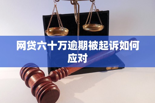 网贷六十万逾期被起诉如何应对