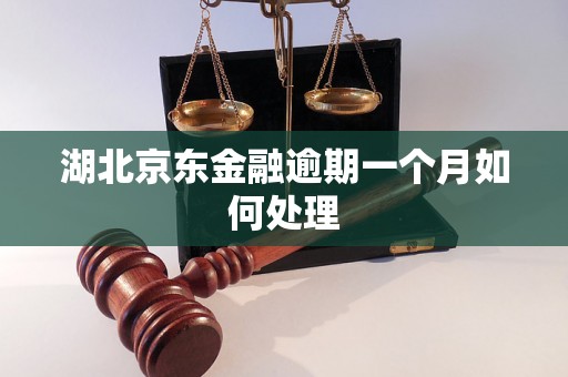 湖北京东金融逾期一个月如何处理