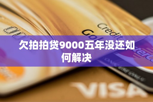 欠拍拍贷9000五年没还如何解决